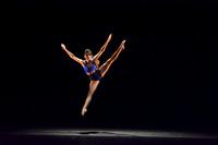 "Falling Into Dance" 2014, Dress & Photo Call